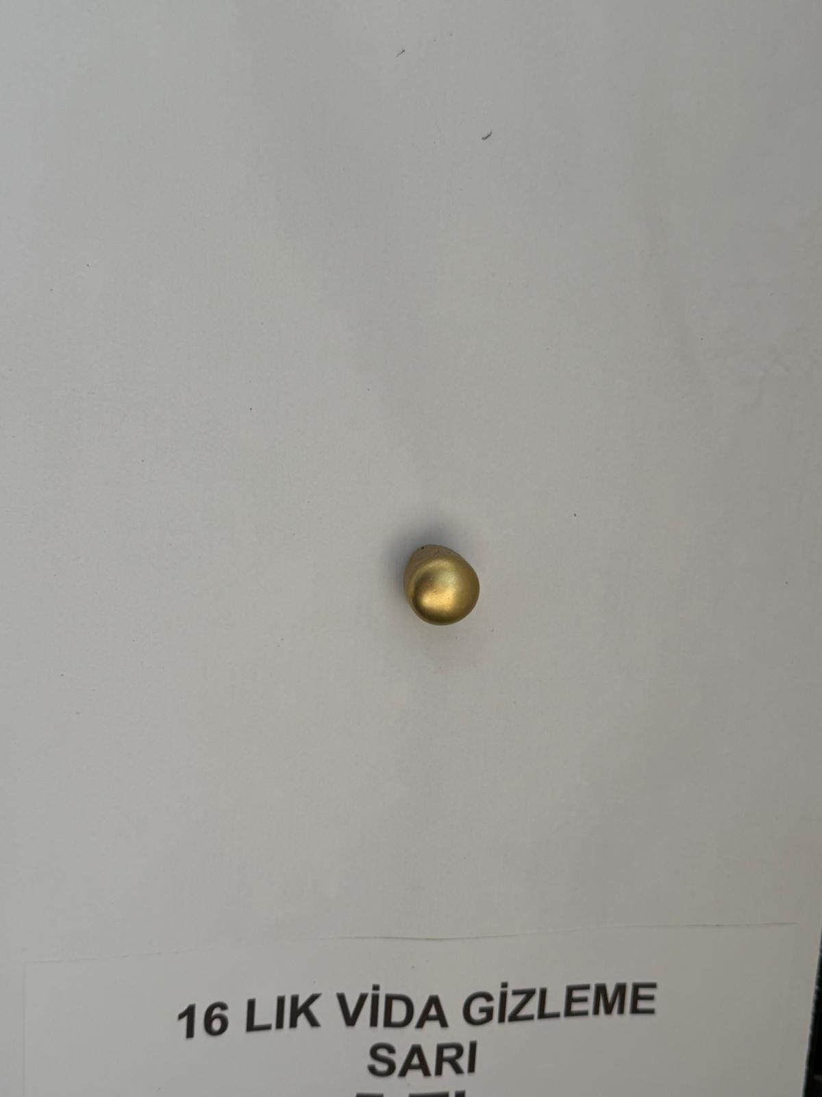 16 Lık Vida Gizleme Sarı / Parlak detay görseli 2